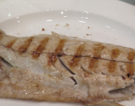 IMG_8929 (800x327)