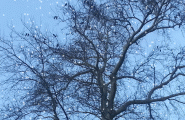 20130311_180945-snow