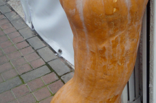 dsc02612