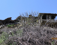 IMG_2110 (800x450)