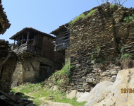 IMG_2116 (800x450)