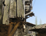 IMG_2121 (415x800)